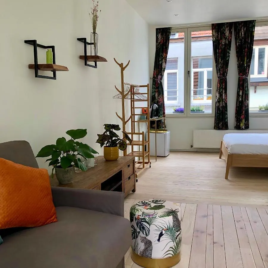 Vakantiehuis For 12 People Antwerpen 0*,